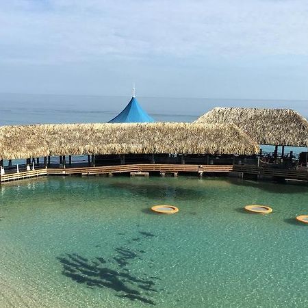Apartament The View At Mystic Ridge Penthouse 78A Ocho Rios Zewnętrze zdjęcie